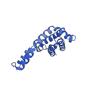 9976_6kgx_FH_v1-1
Structure of the phycobilisome from the red alga Porphyridium purpureum
