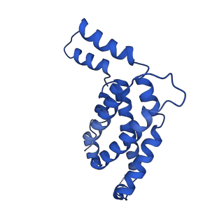 9976_6kgx_FI_v1-1
Structure of the phycobilisome from the red alga Porphyridium purpureum