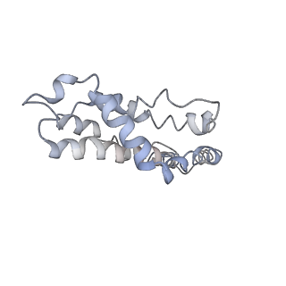 9976_6kgx_G1_v1-1
Structure of the phycobilisome from the red alga Porphyridium purpureum