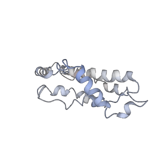 9976_6kgx_G4_v1-1
Structure of the phycobilisome from the red alga Porphyridium purpureum