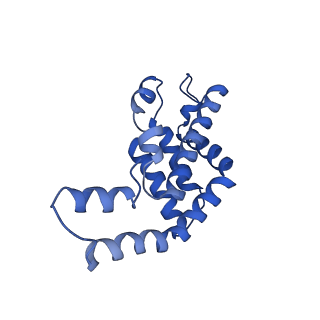 9976_6kgx_G6_v1-1
Structure of the phycobilisome from the red alga Porphyridium purpureum