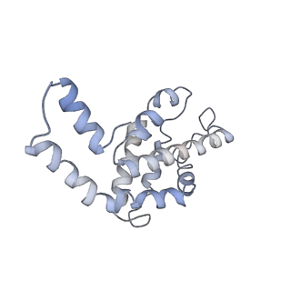 9976_6kgx_G8_v1-1
Structure of the phycobilisome from the red alga Porphyridium purpureum