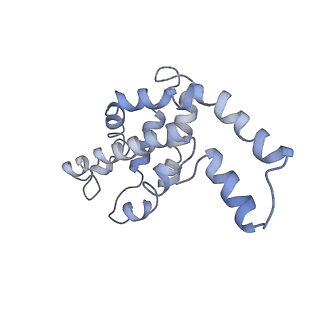 9976_6kgx_GA_v1-1
Structure of the phycobilisome from the red alga Porphyridium purpureum