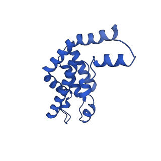 9976_6kgx_GB_v1-1
Structure of the phycobilisome from the red alga Porphyridium purpureum