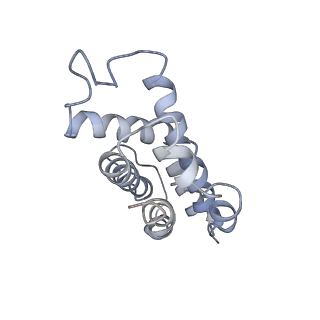 9976_6kgx_GC_v1-1
Structure of the phycobilisome from the red alga Porphyridium purpureum