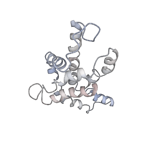 9976_6kgx_GD_v1-1
Structure of the phycobilisome from the red alga Porphyridium purpureum