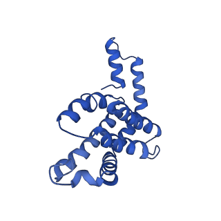 9976_6kgx_GE_v1-1
Structure of the phycobilisome from the red alga Porphyridium purpureum