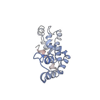 9976_6kgx_GF_v1-1
Structure of the phycobilisome from the red alga Porphyridium purpureum