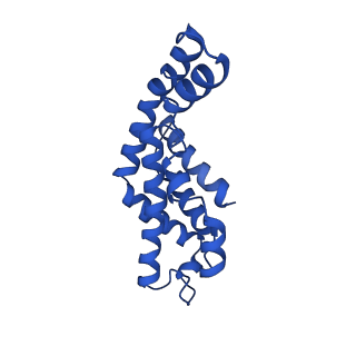 9976_6kgx_GI_v1-1
Structure of the phycobilisome from the red alga Porphyridium purpureum