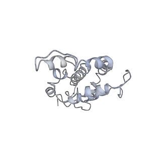9976_6kgx_H1_v1-1
Structure of the phycobilisome from the red alga Porphyridium purpureum