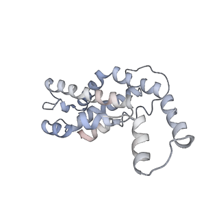 9976_6kgx_H3_v1-1
Structure of the phycobilisome from the red alga Porphyridium purpureum