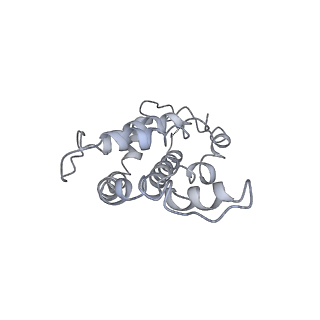 9976_6kgx_H4_v1-1
Structure of the phycobilisome from the red alga Porphyridium purpureum