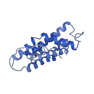 9976_6kgx_H5_v1-1
Structure of the phycobilisome from the red alga Porphyridium purpureum