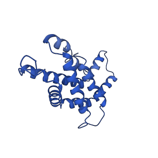 9976_6kgx_H6_v1-1
Structure of the phycobilisome from the red alga Porphyridium purpureum
