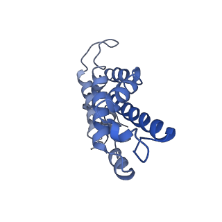9976_6kgx_H7_v1-1
Structure of the phycobilisome from the red alga Porphyridium purpureum