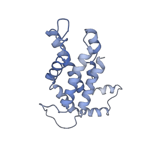 9976_6kgx_H8_v1-1
Structure of the phycobilisome from the red alga Porphyridium purpureum