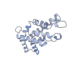 9976_6kgx_H9_v1-1
Structure of the phycobilisome from the red alga Porphyridium purpureum