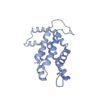 9976_6kgx_HA_v1-1
Structure of the phycobilisome from the red alga Porphyridium purpureum