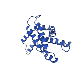 9976_6kgx_HB_v1-1
Structure of the phycobilisome from the red alga Porphyridium purpureum