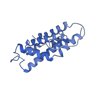 9976_6kgx_HC_v1-1
Structure of the phycobilisome from the red alga Porphyridium purpureum
