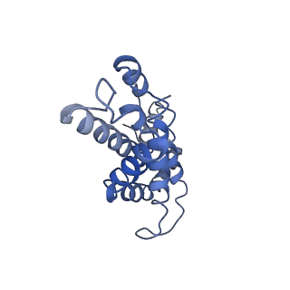 9976_6kgx_HF_v1-1
Structure of the phycobilisome from the red alga Porphyridium purpureum