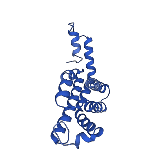 9976_6kgx_I2_v1-1
Structure of the phycobilisome from the red alga Porphyridium purpureum