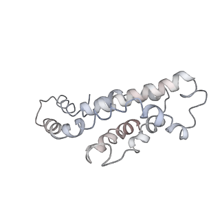 9976_6kgx_I3_v1-1
Structure of the phycobilisome from the red alga Porphyridium purpureum