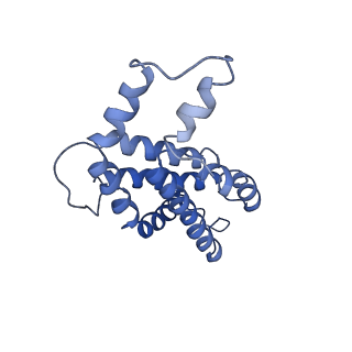 9976_6kgx_I9_v1-1
Structure of the phycobilisome from the red alga Porphyridium purpureum