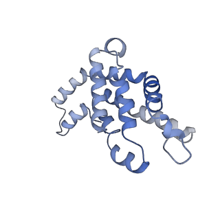 9976_6kgx_IA_v1-1
Structure of the phycobilisome from the red alga Porphyridium purpureum