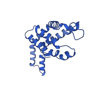 9976_6kgx_IB_v1-1
Structure of the phycobilisome from the red alga Porphyridium purpureum