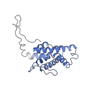 9976_6kgx_IC_v1-1
Structure of the phycobilisome from the red alga Porphyridium purpureum