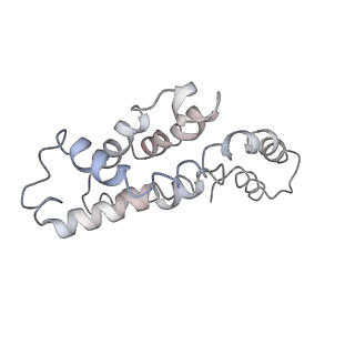 9976_6kgx_ID_v1-1
Structure of the phycobilisome from the red alga Porphyridium purpureum