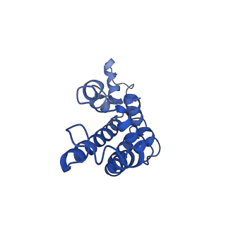 9976_6kgx_IF_v1-1
Structure of the phycobilisome from the red alga Porphyridium purpureum