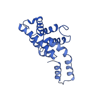 9976_6kgx_IG_v1-1
Structure of the phycobilisome from the red alga Porphyridium purpureum