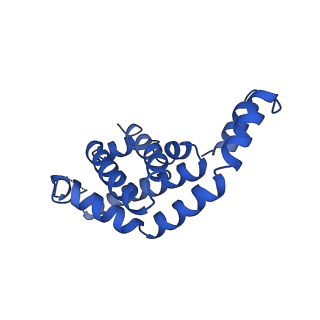 9976_6kgx_IH_v1-1
Structure of the phycobilisome from the red alga Porphyridium purpureum