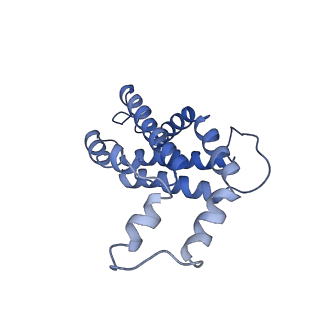 9976_6kgx_IJ_v1-1
Structure of the phycobilisome from the red alga Porphyridium purpureum