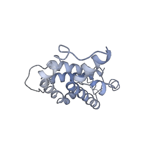 9976_6kgx_J1_v1-1
Structure of the phycobilisome from the red alga Porphyridium purpureum
