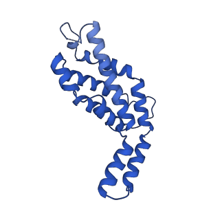 9976_6kgx_J2_v1-1
Structure of the phycobilisome from the red alga Porphyridium purpureum