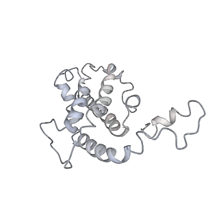 9976_6kgx_J3_v1-1
Structure of the phycobilisome from the red alga Porphyridium purpureum