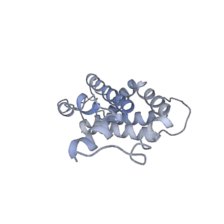 9976_6kgx_J4_v1-1
Structure of the phycobilisome from the red alga Porphyridium purpureum