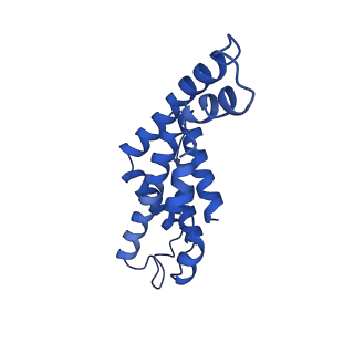 9976_6kgx_J5_v1-1
Structure of the phycobilisome from the red alga Porphyridium purpureum