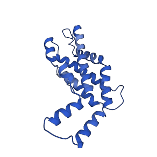 9976_6kgx_J6_v1-1
Structure of the phycobilisome from the red alga Porphyridium purpureum