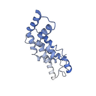9976_6kgx_J7_v1-1
Structure of the phycobilisome from the red alga Porphyridium purpureum