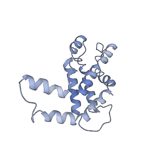9976_6kgx_J8_v1-1
Structure of the phycobilisome from the red alga Porphyridium purpureum