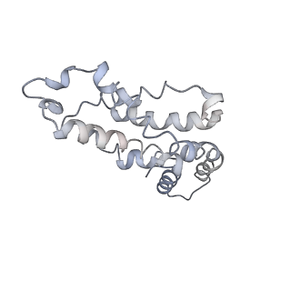 9976_6kgx_J9_v1-1
Structure of the phycobilisome from the red alga Porphyridium purpureum