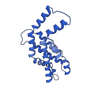 9976_6kgx_JB_v1-1
Structure of the phycobilisome from the red alga Porphyridium purpureum