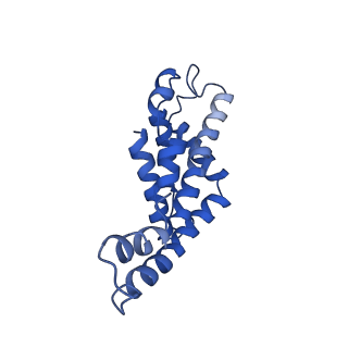 9976_6kgx_JC_v1-1
Structure of the phycobilisome from the red alga Porphyridium purpureum