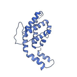 9976_6kgx_JE_v1-1
Structure of the phycobilisome from the red alga Porphyridium purpureum
