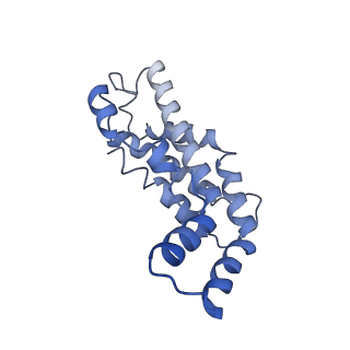 9976_6kgx_JF_v1-1
Structure of the phycobilisome from the red alga Porphyridium purpureum