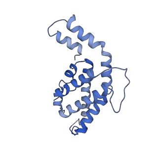 9976_6kgx_JG_v1-1
Structure of the phycobilisome from the red alga Porphyridium purpureum